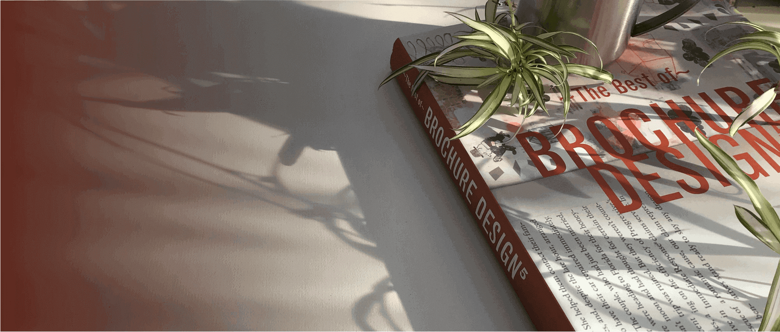 A book on design in a serene setting, with a cup of coffee and a plant, captures the beauty of morning sunlight