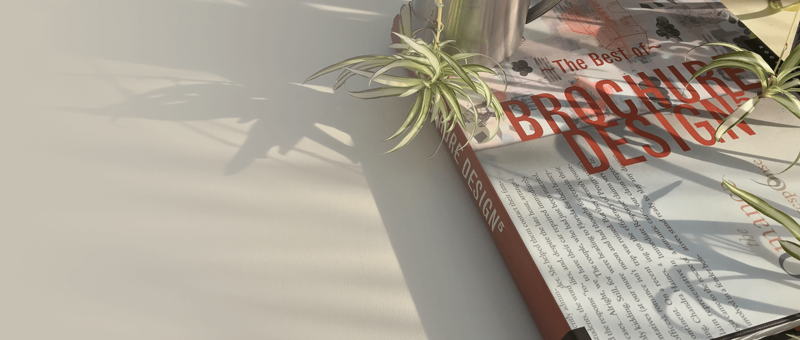 A book on design in a serene setting, with a cup of coffee and a plant, captures the beauty of morning sunlight
