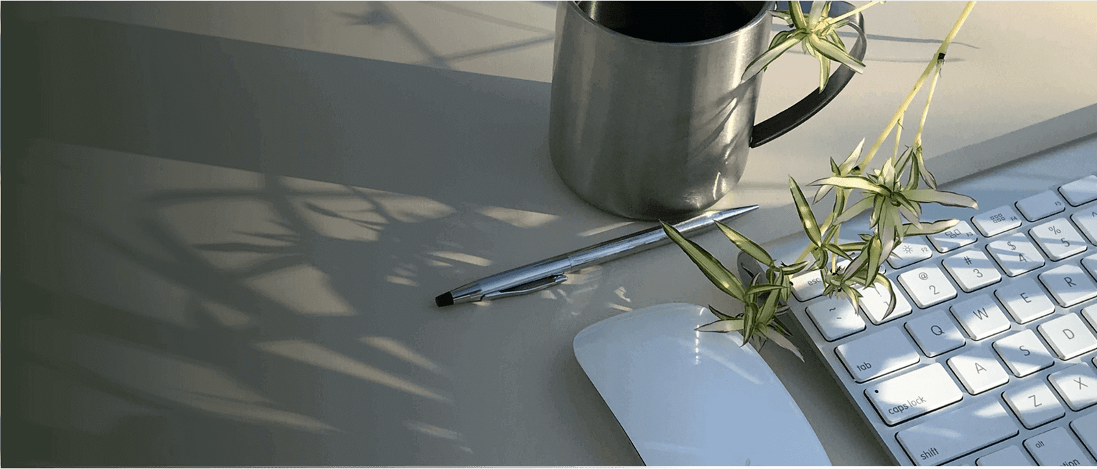 Keyboard, mouse, watch and silver pen in a morning sunrise setting