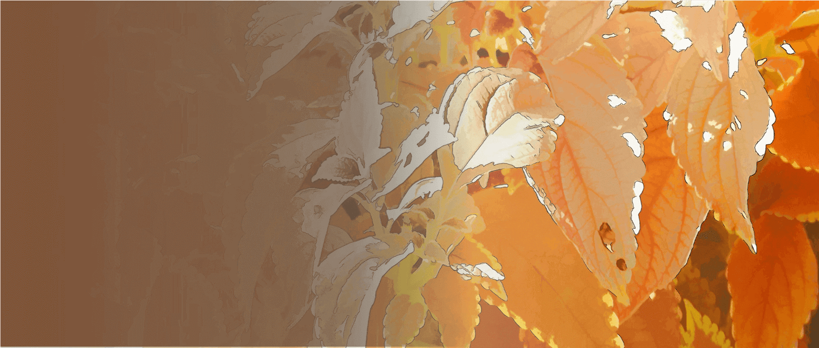 Graphic red floral leaves