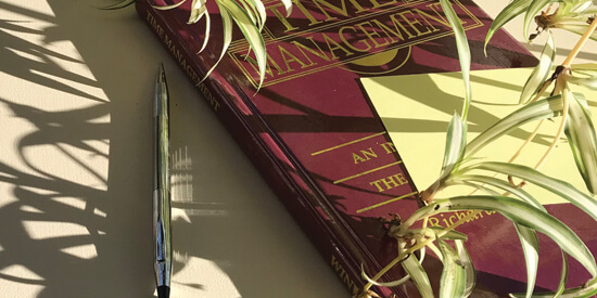 a book, pen, and sticky pad cast shadows, with a plant in the background.